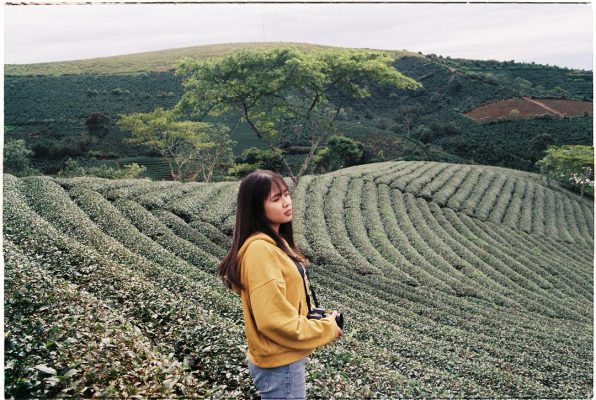 Kinh nghiệm checking Đà Lạt mùa đông